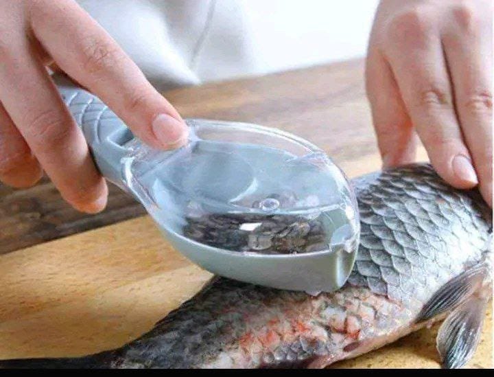 manual fish scale scraper